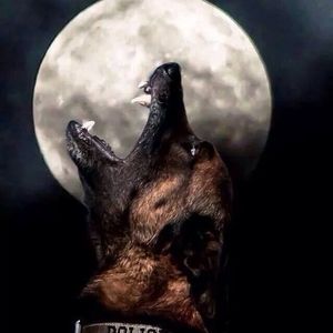 Meet your Posher, Cliff